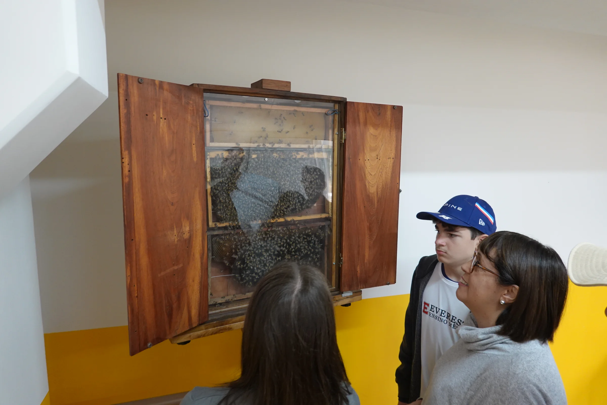 Visitantes observando colmeia em caixa de vidro