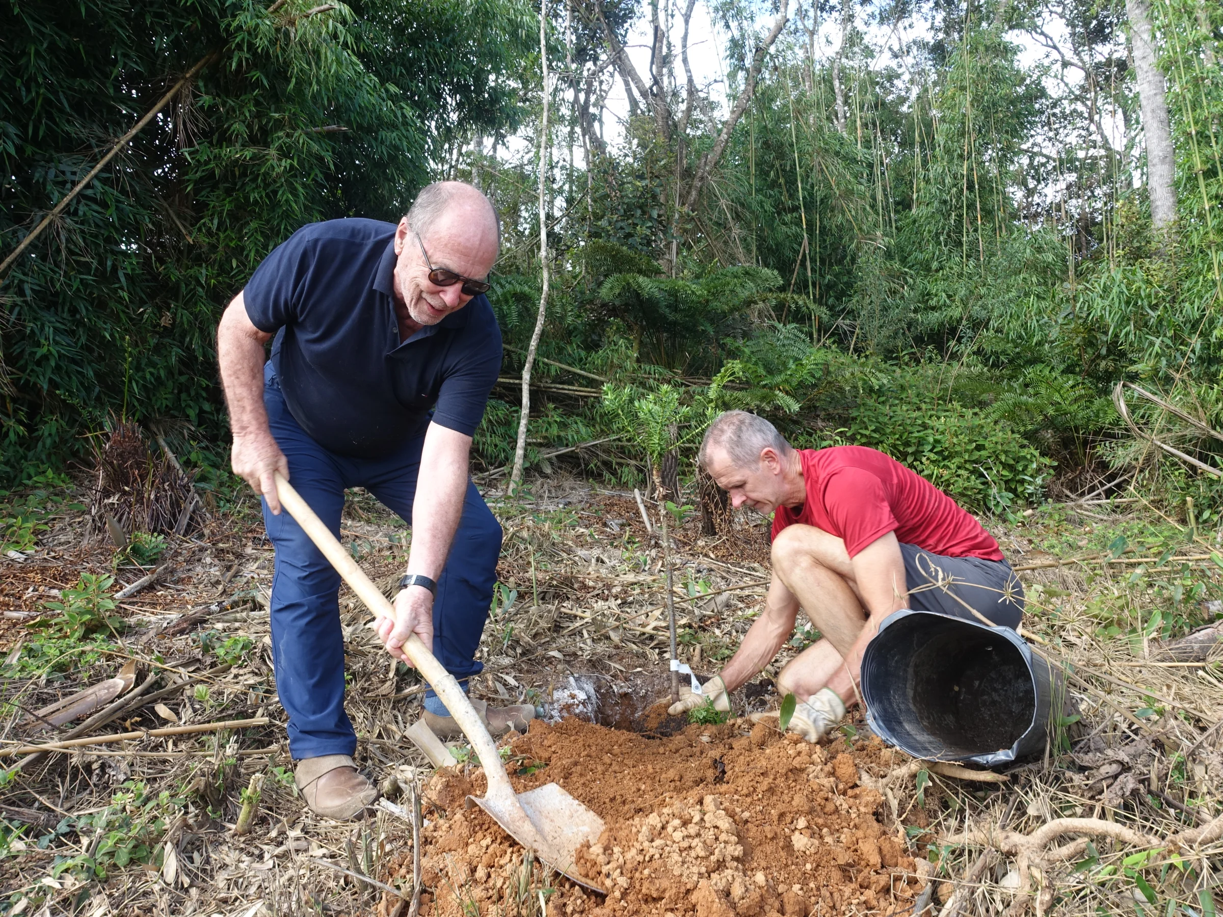 Cova aberta para plantio de muda