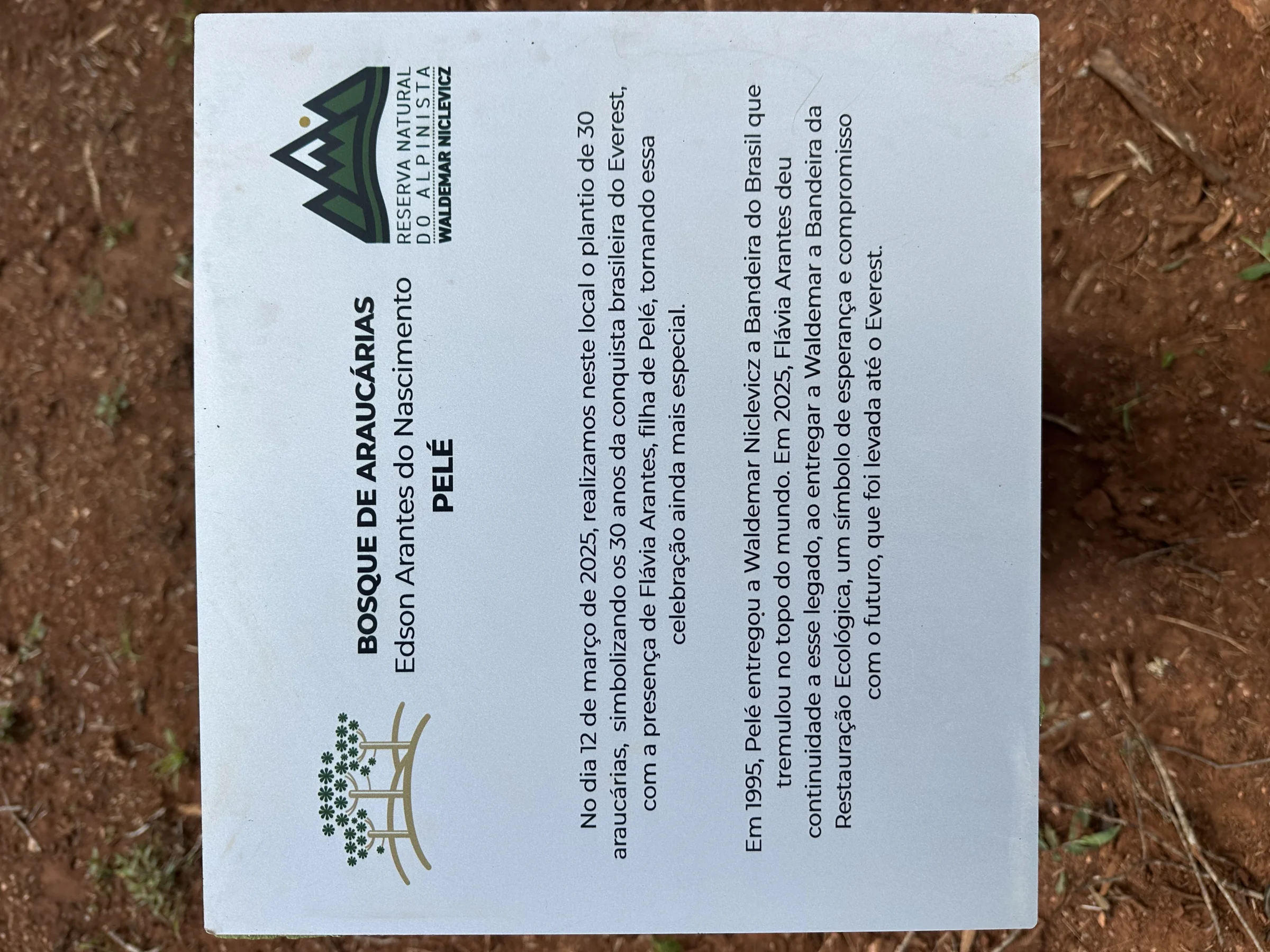 Placa interpretativa do bosque de araucárias