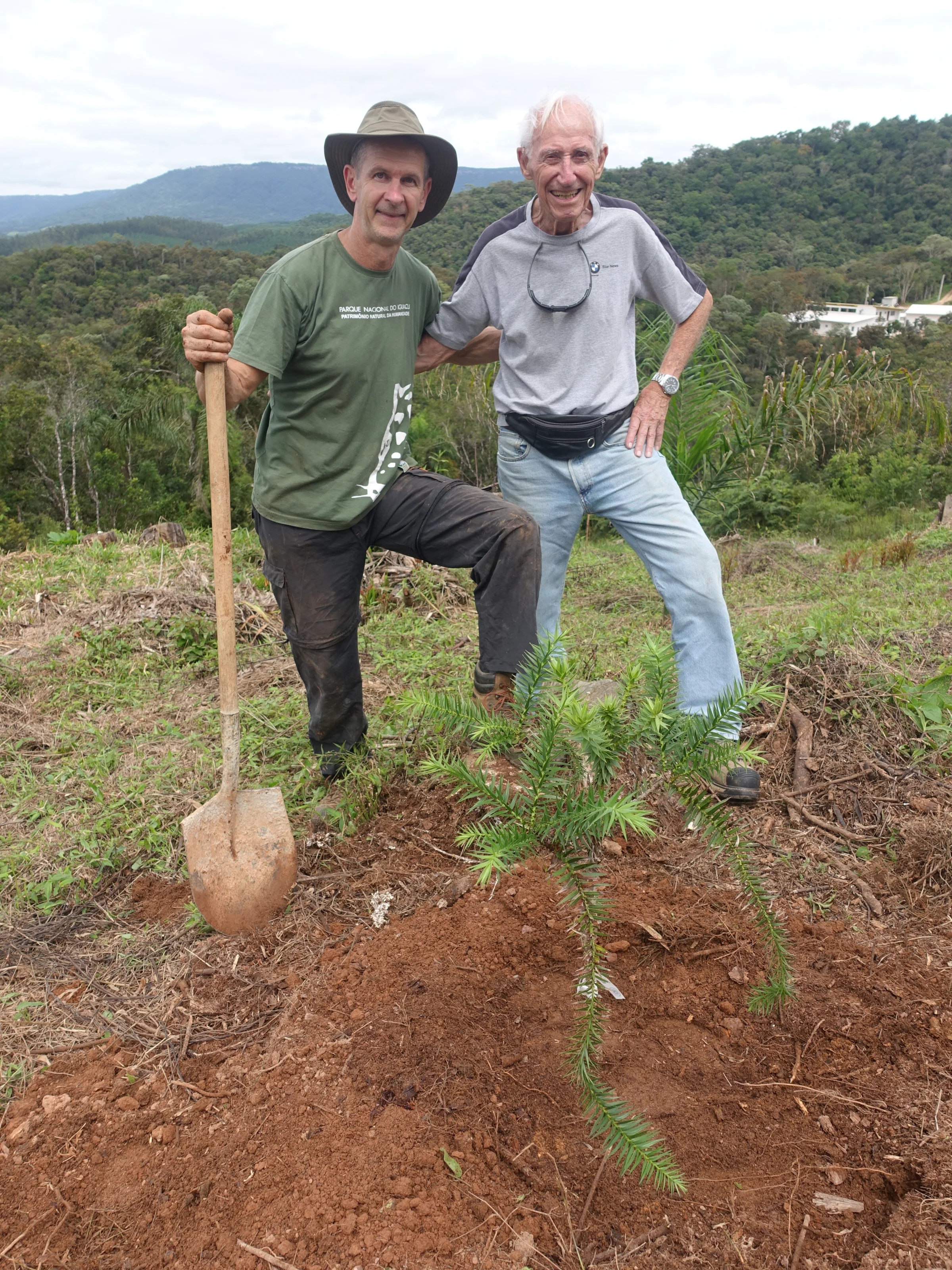 Selfie de plantio com muda jovem de araucária