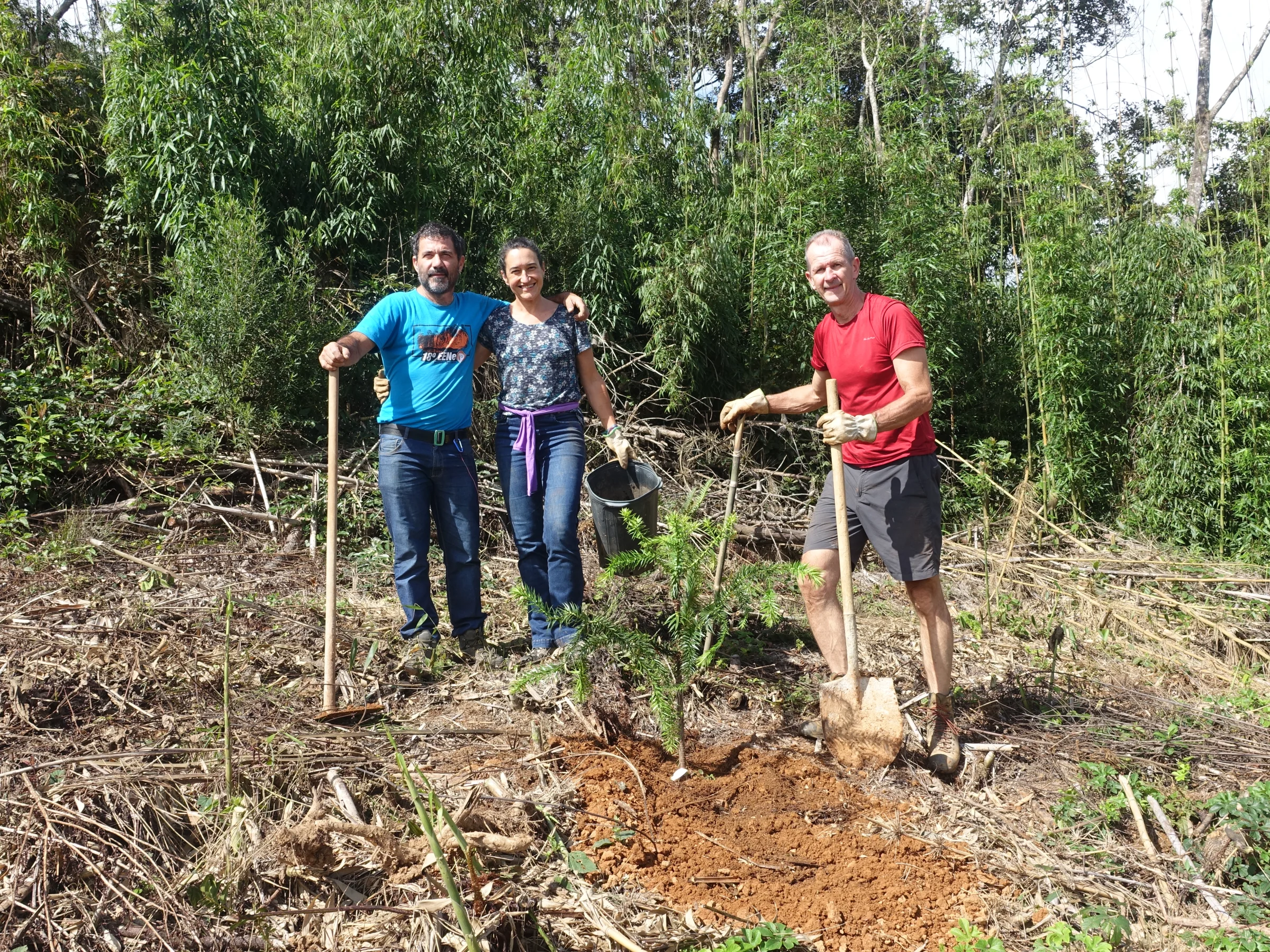 Trio com pás após o plantio