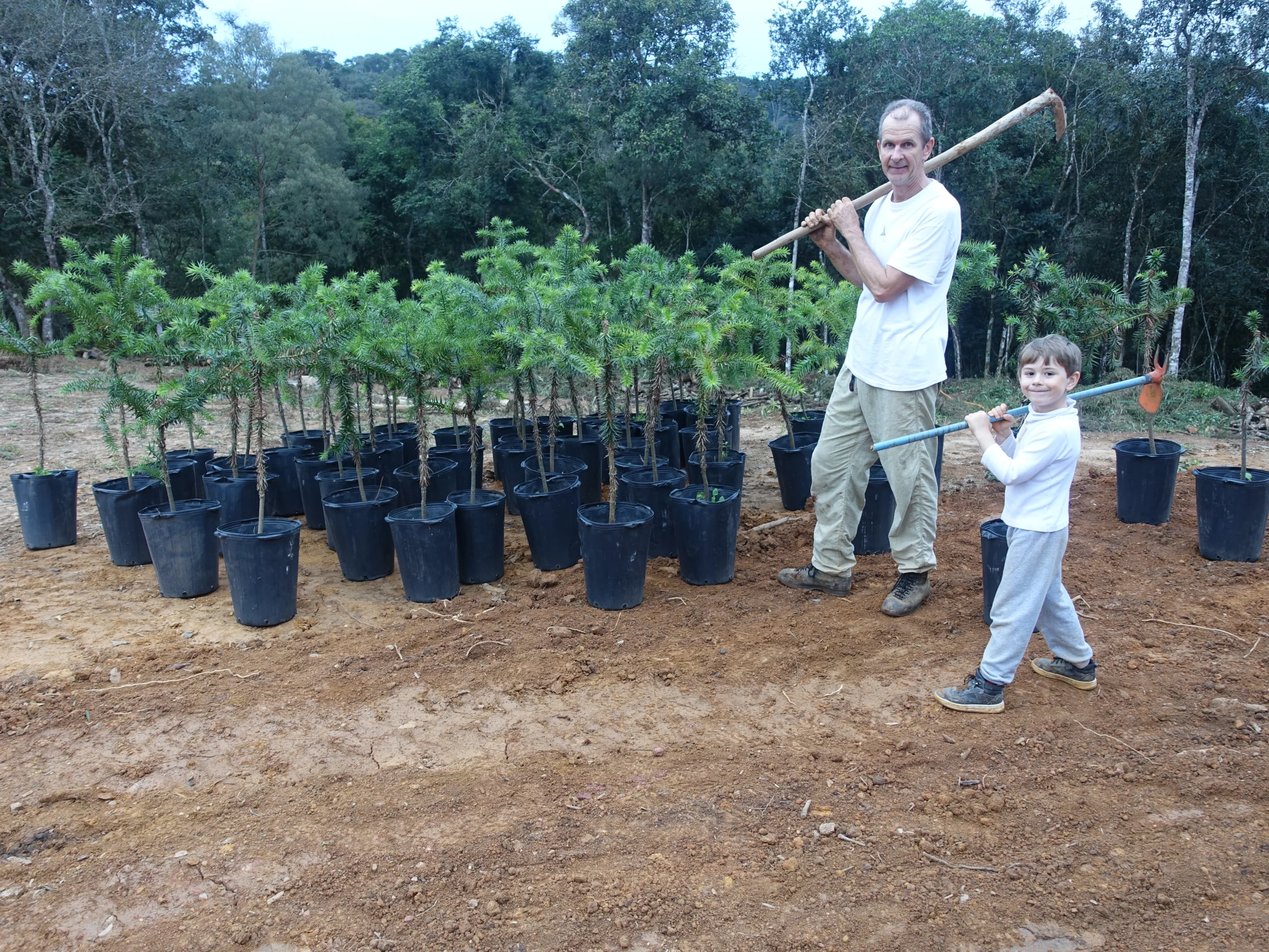 Waldemar e criança com mudas em sacos
