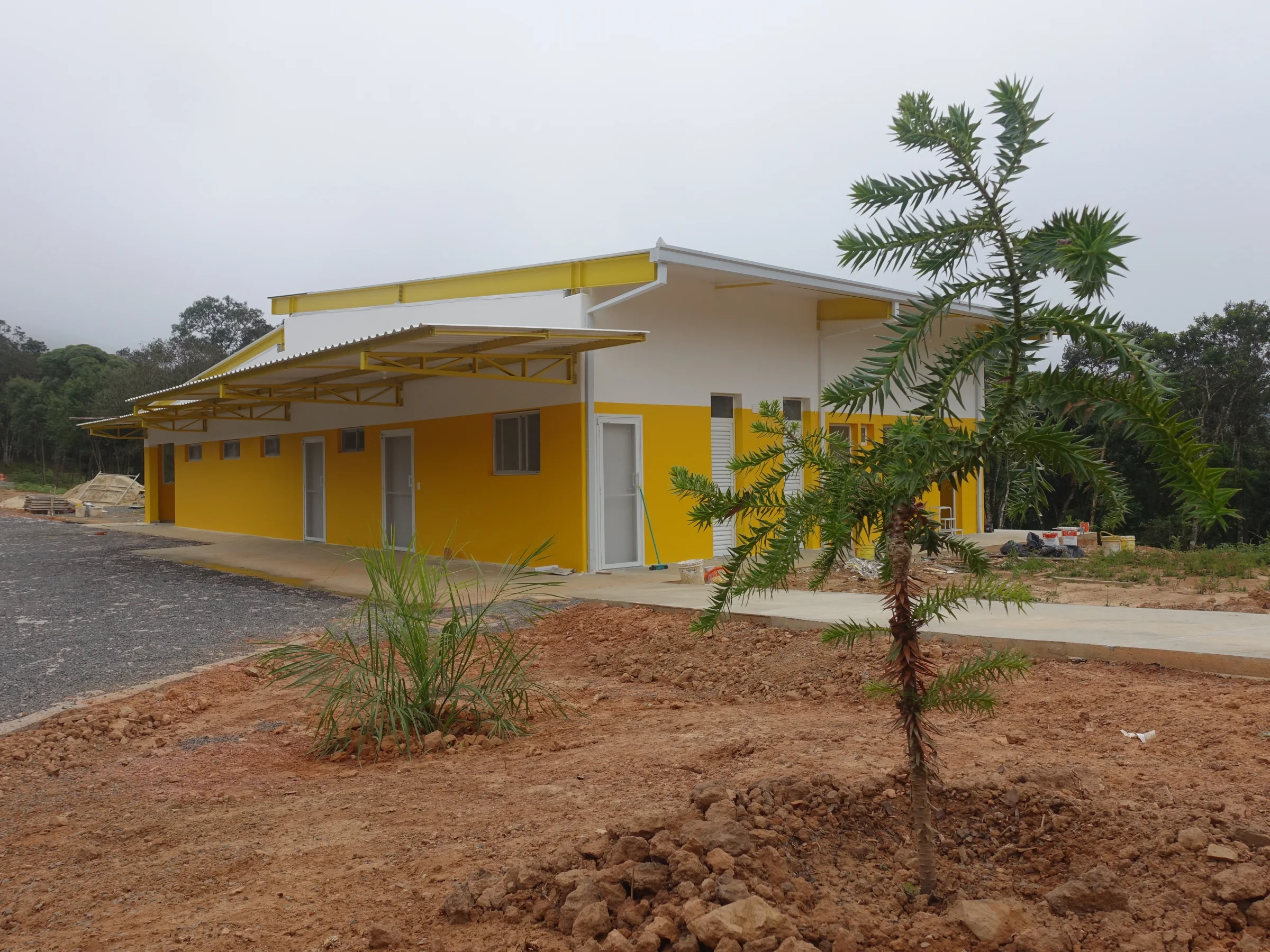 Exterior da Casa do Mel com muda de araucária