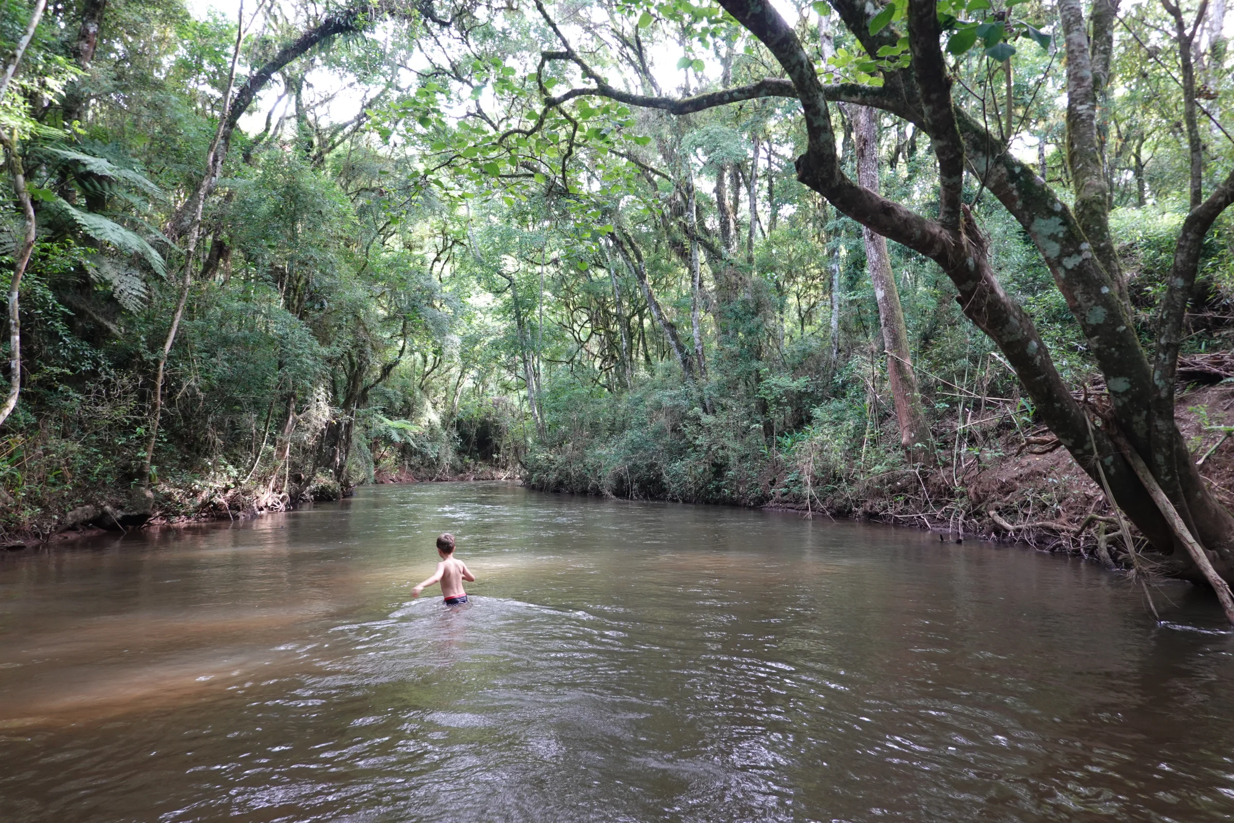 Banhista no rio sob dossel arqueado