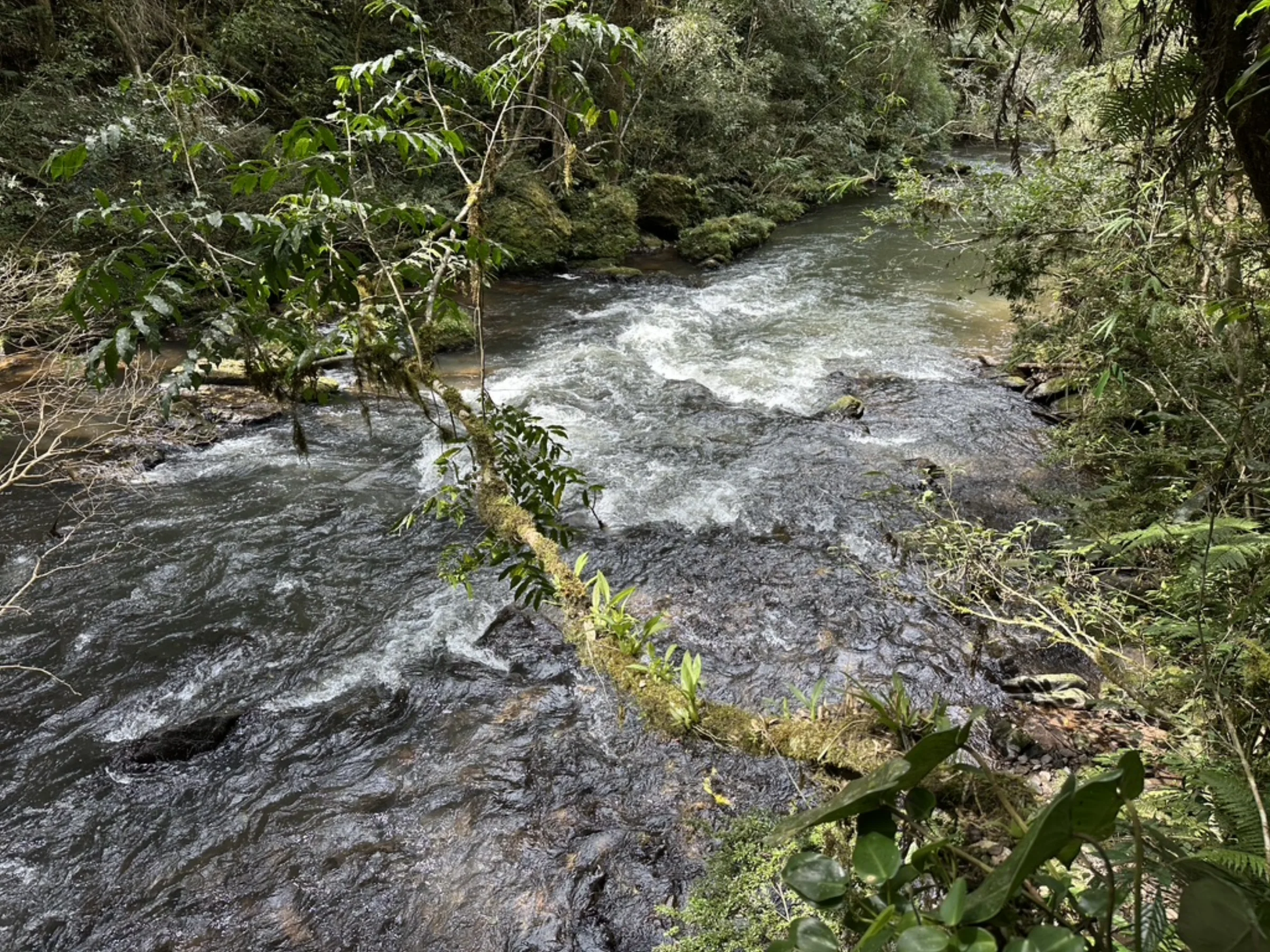 Corredeira sobre rocha