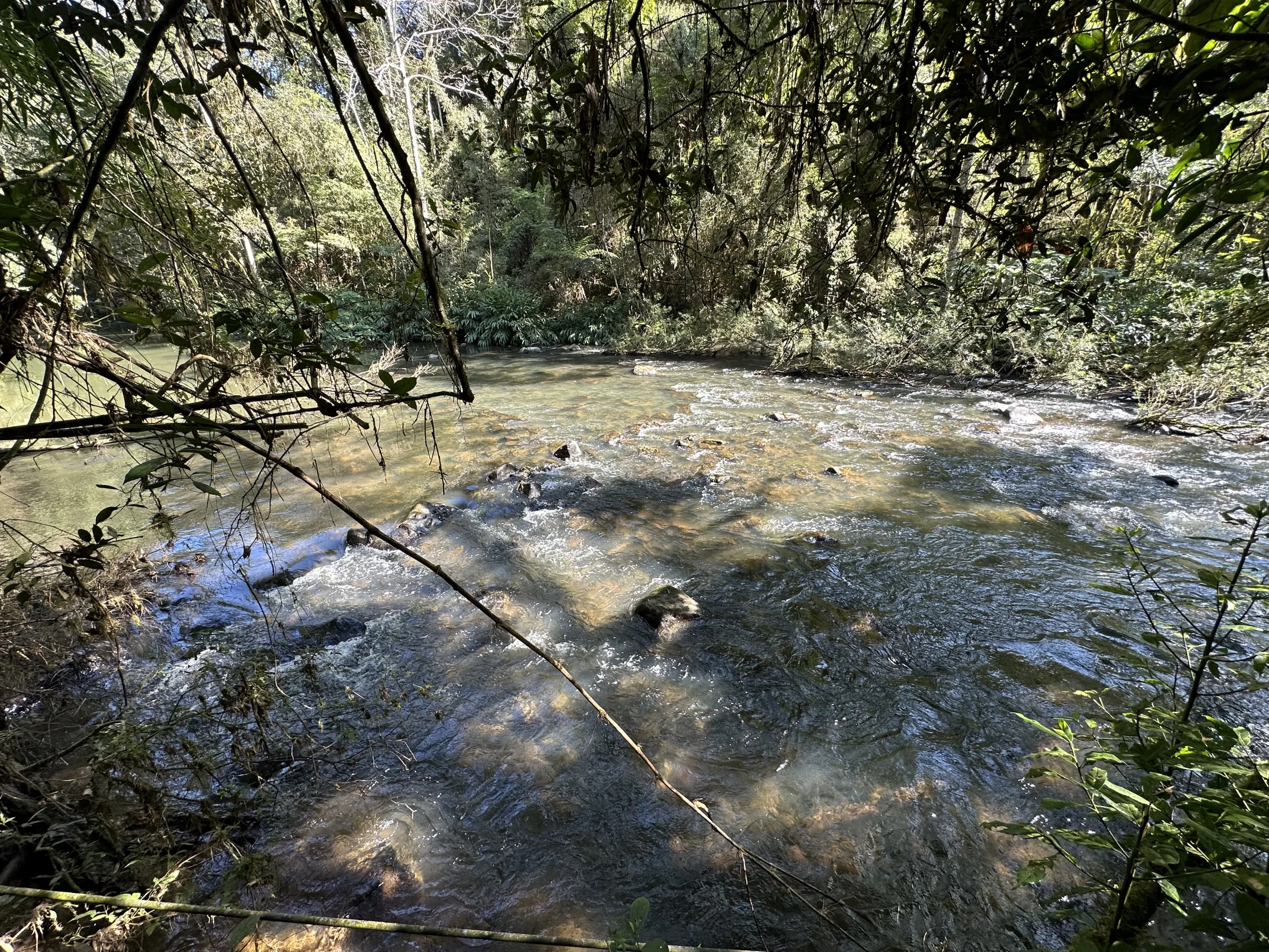 Corredeiras no Rio Açungui