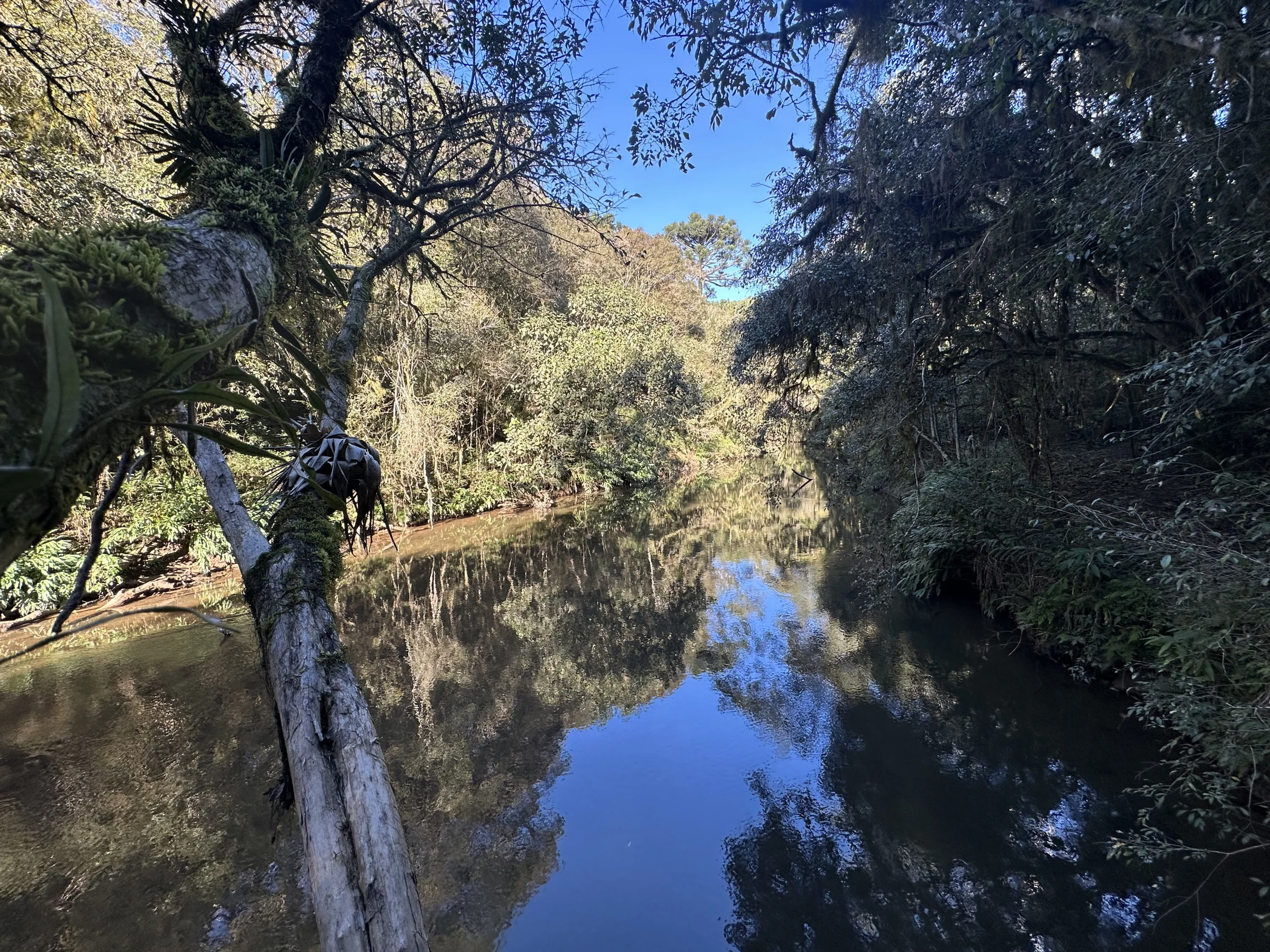 Espelho d'água do Rio Açungui