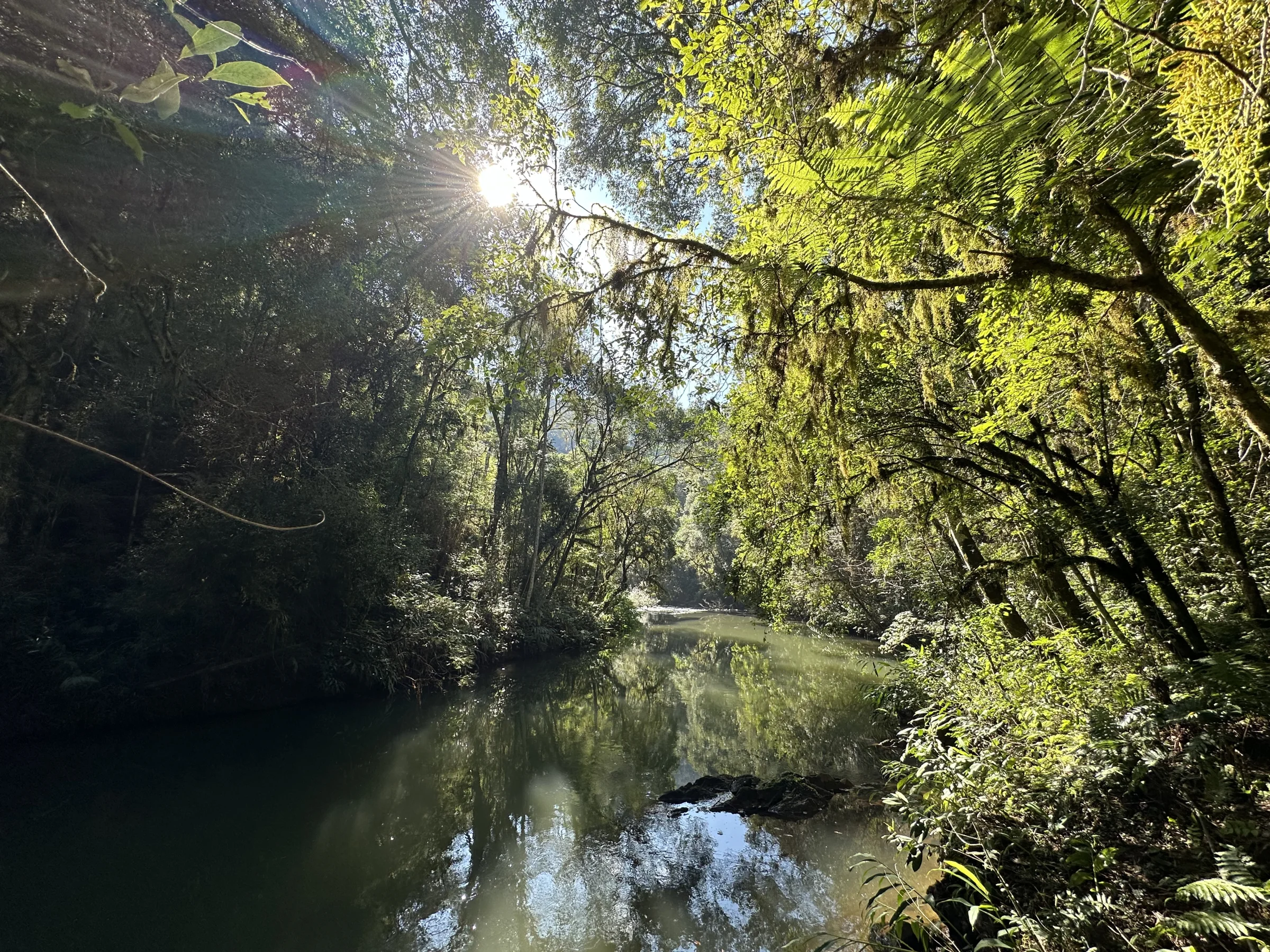 Rio Açungui com sol filtrando pela mata