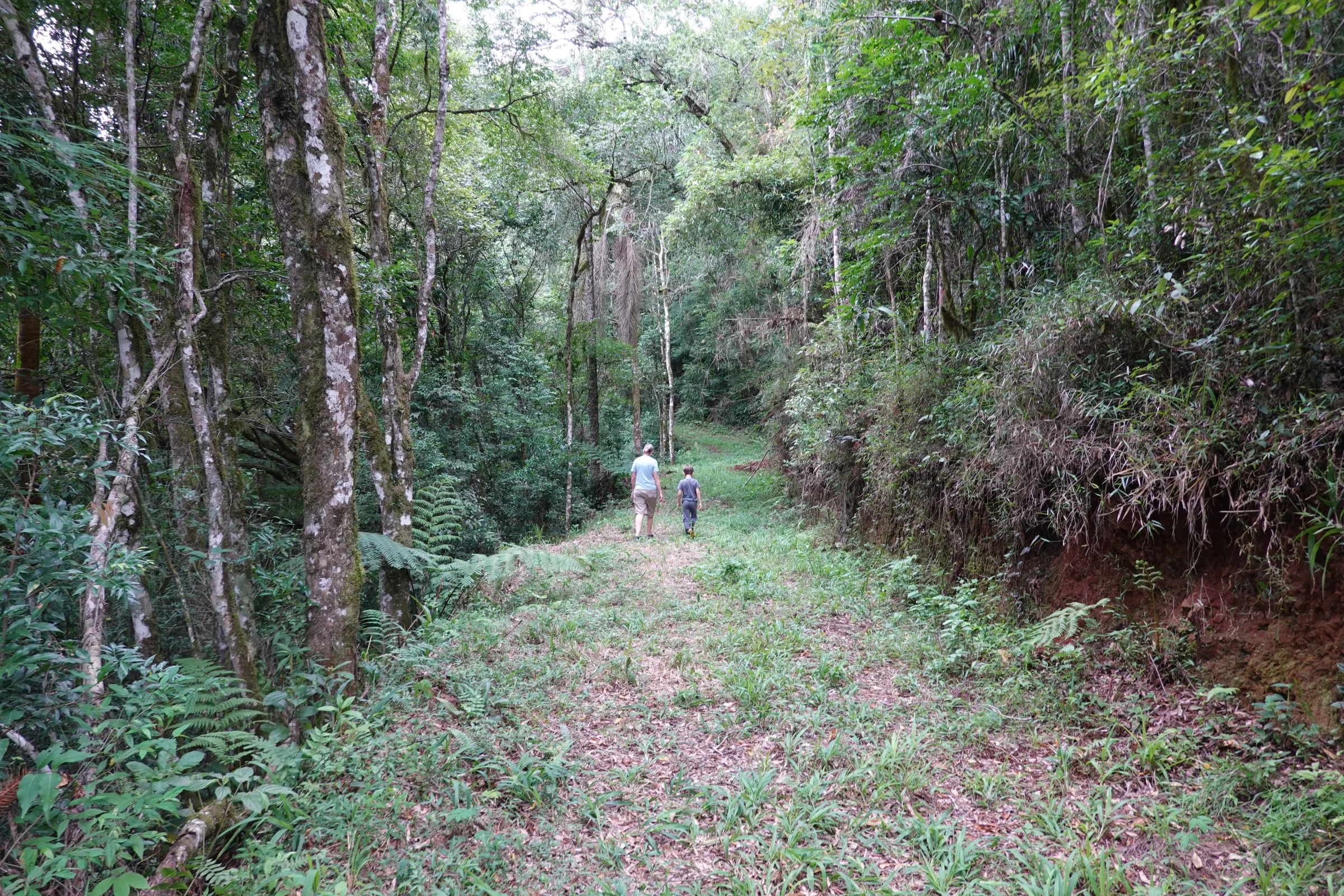 Casal em estrada interna entre mata densa