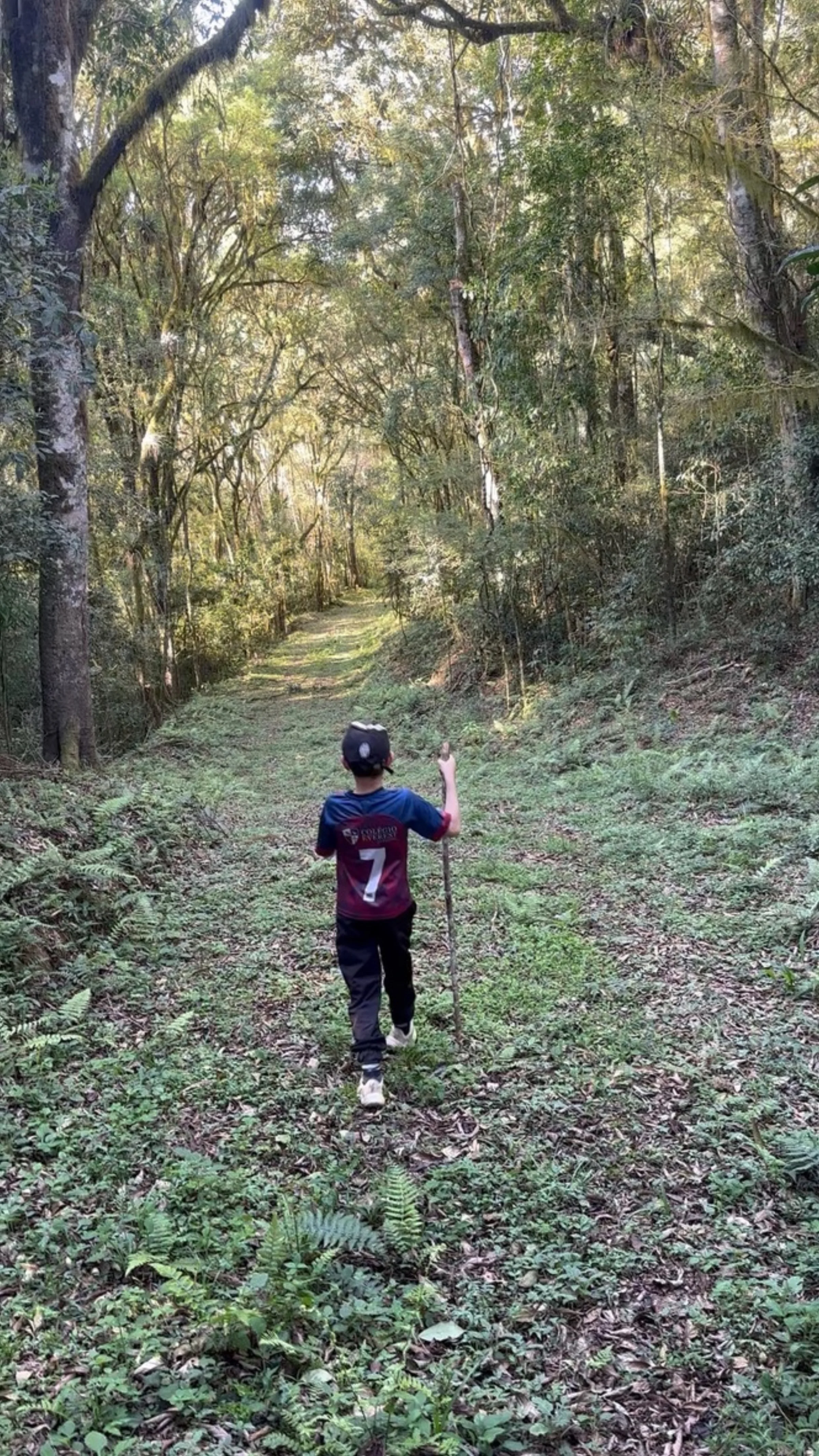 Criança em trilha sombreada