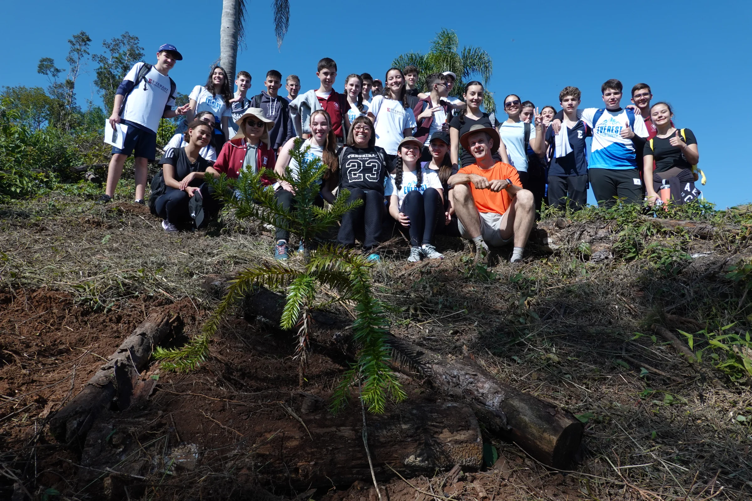 Grupo de estudantes em plantio