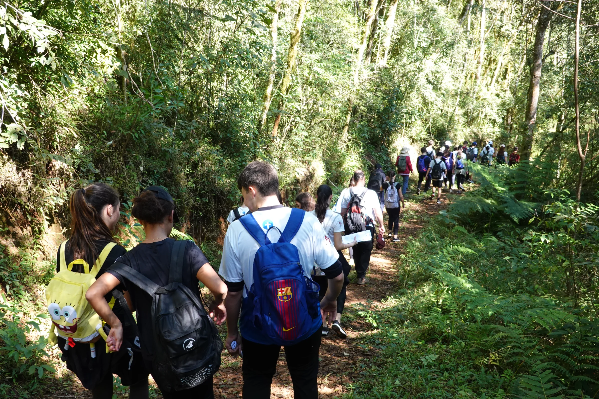 Grupo subindo trilha