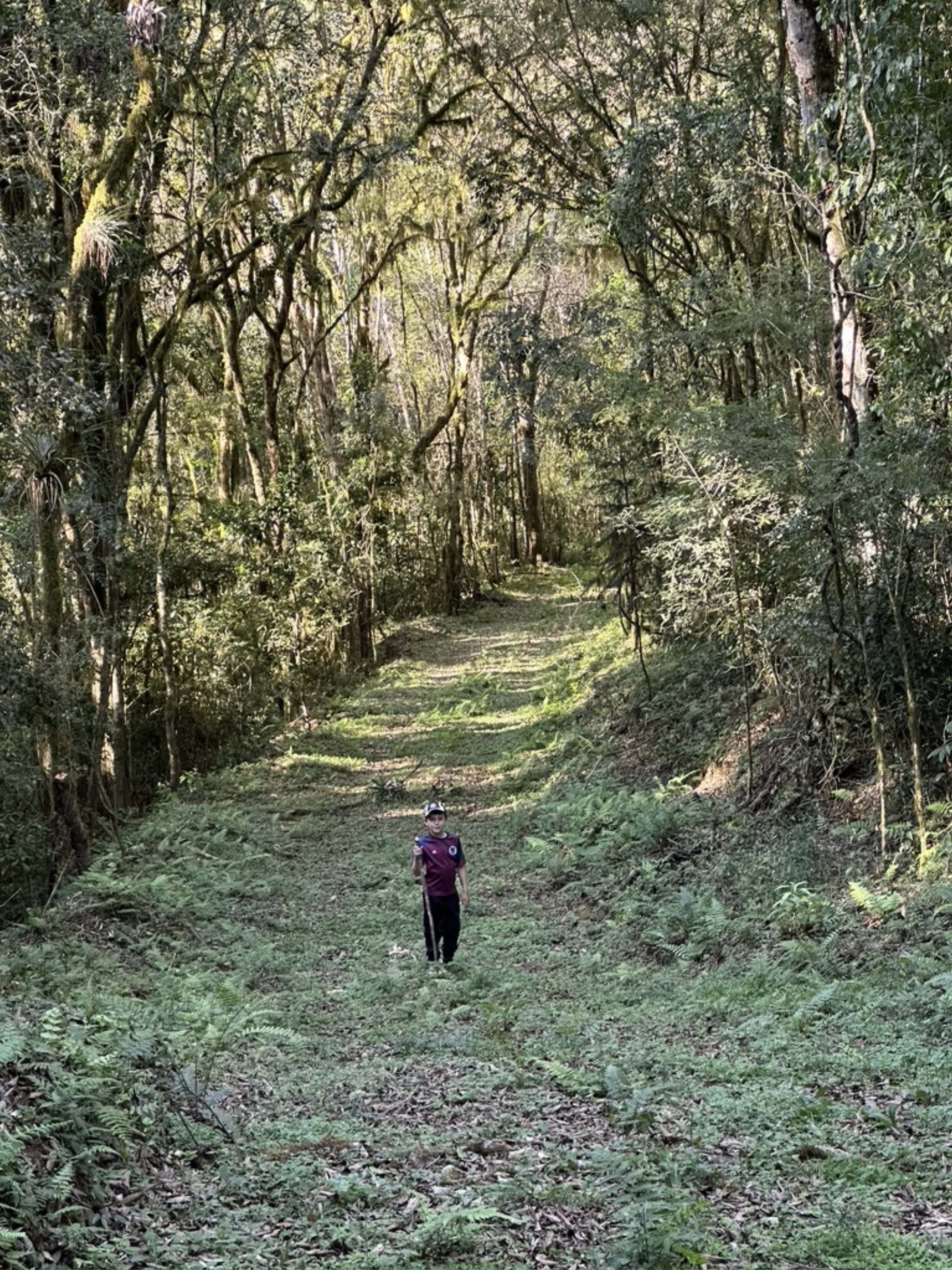 Pessoa caminhando em túnel de mata