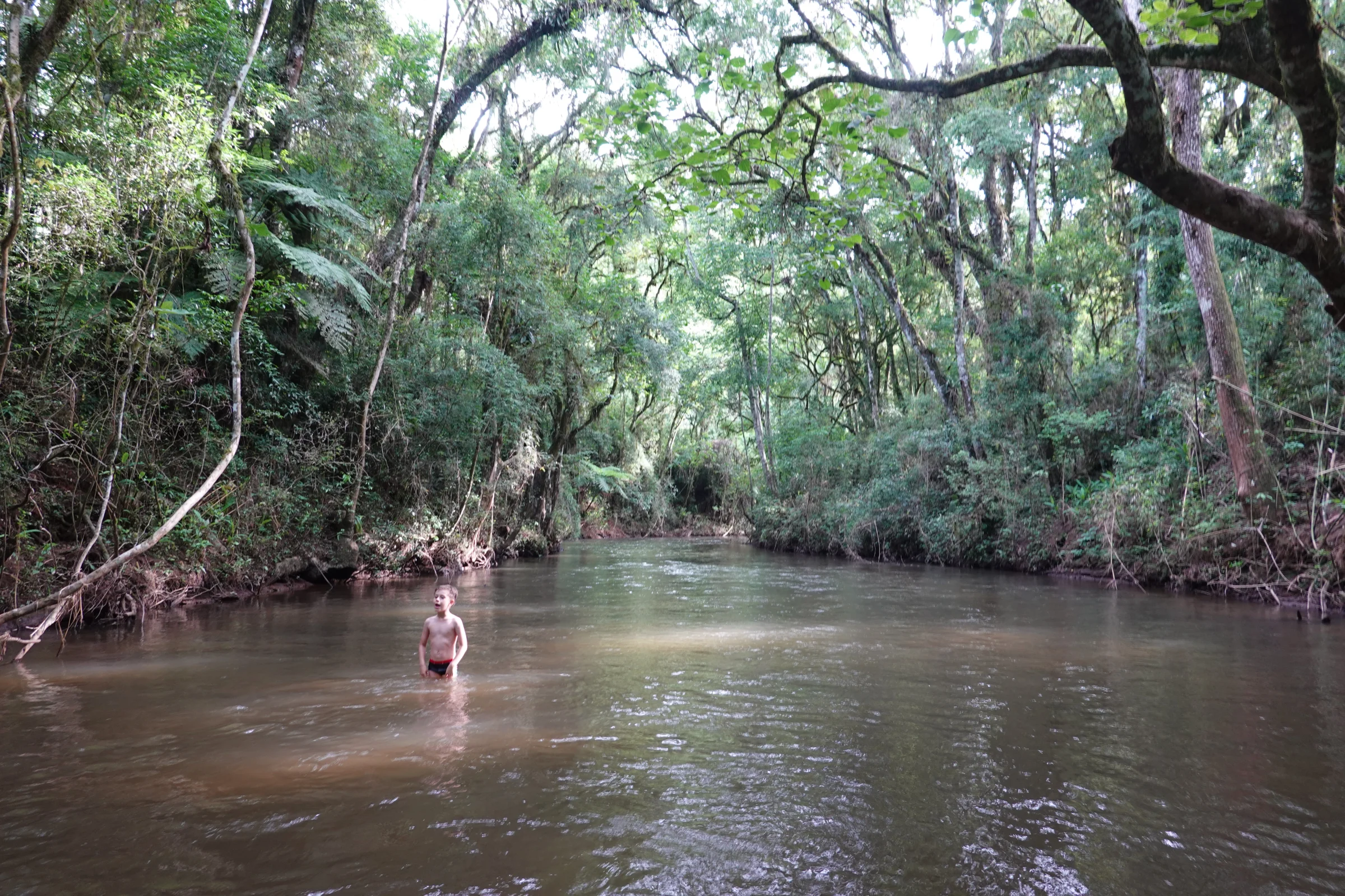 Mata sobre o rio Açungui