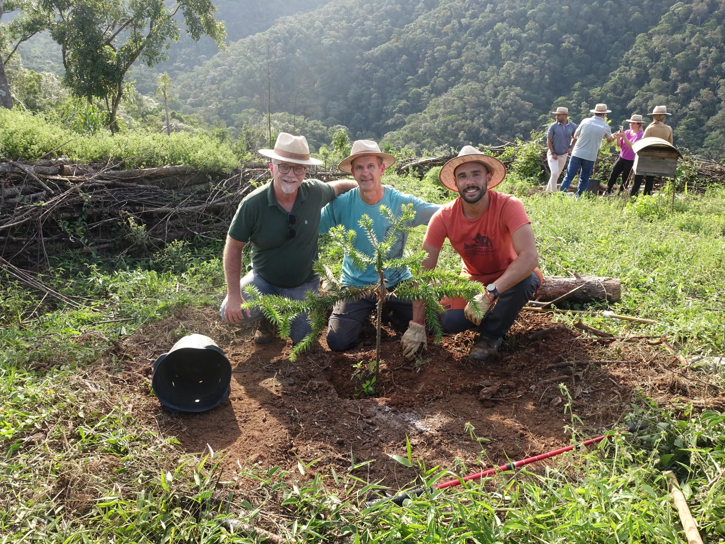 Mata sobre o rio Açungui